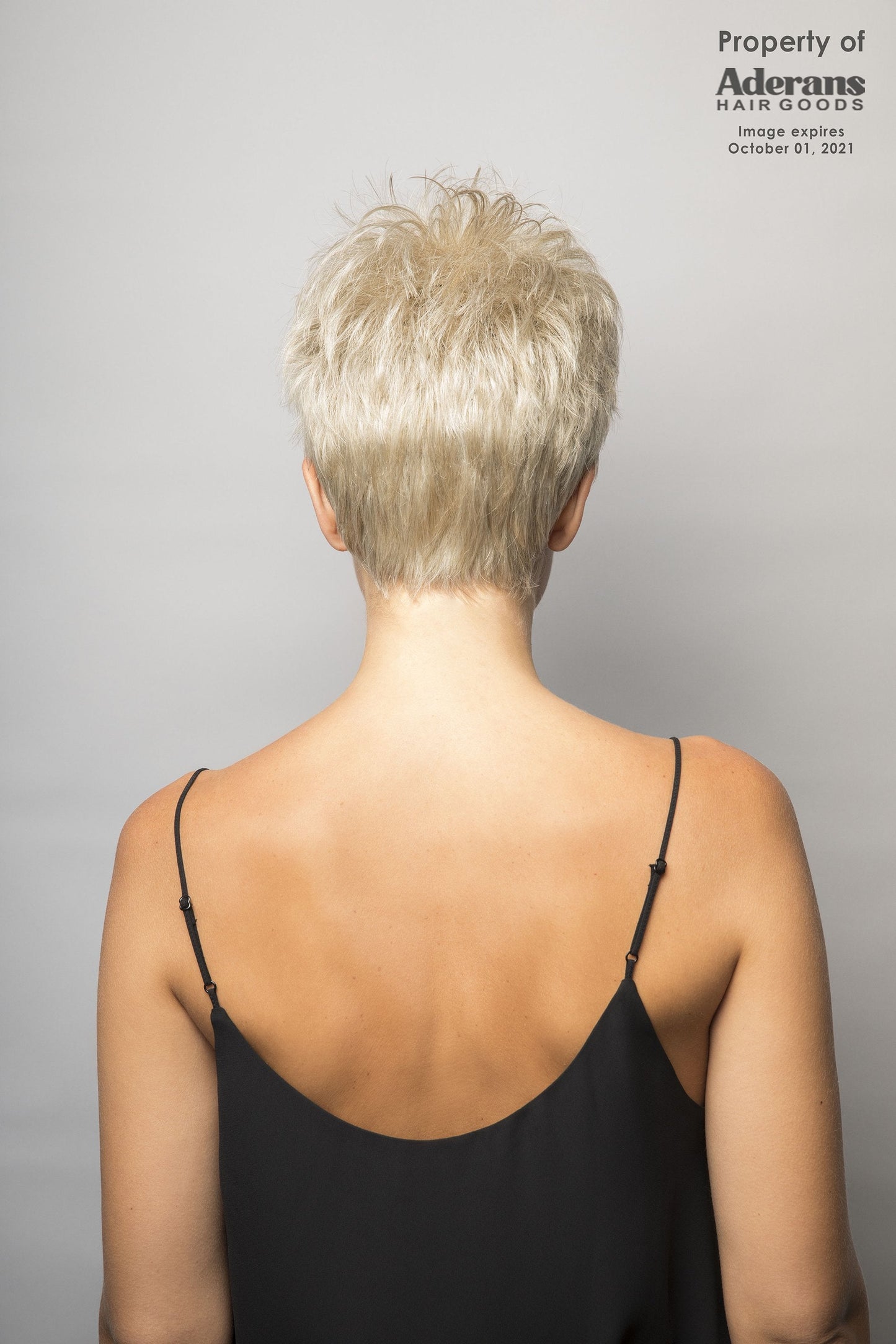 Brady Wig-1704